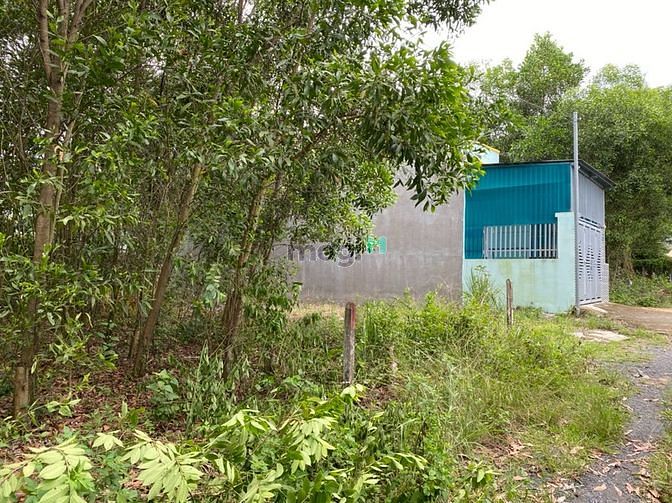 Hình ảnh Cần tiền cưới vợ, bán rẻ lô đất sát đường Đồng Khởi. Giá 820tr