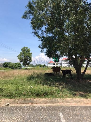 Hình ảnh bán lô đất ngay gia kiệm - thống nhất