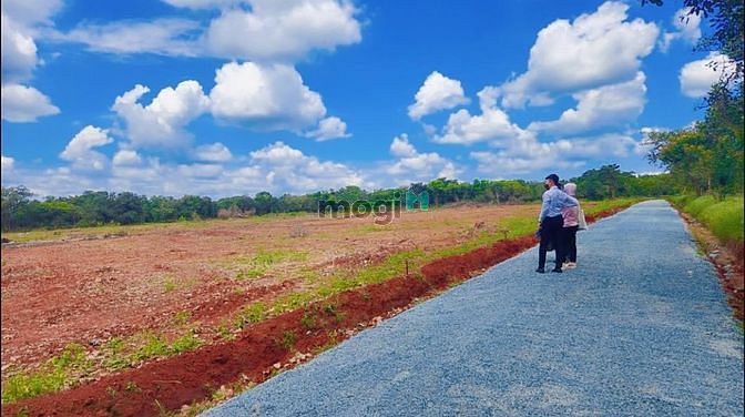 Hình ảnh Cần bán lô đất 7m x 45m thổ cư 100m2 đường thông giá Trang MB66.COM Chính Thức - MB 66 Uy Tín