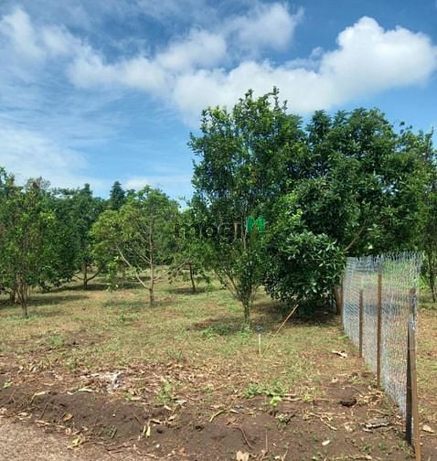 Hình ảnh Cần Bán Lô Đất Lấy Tiền Cưới Vợ Cho Con Trai, Gần Nhà Thờ Phú Lâm