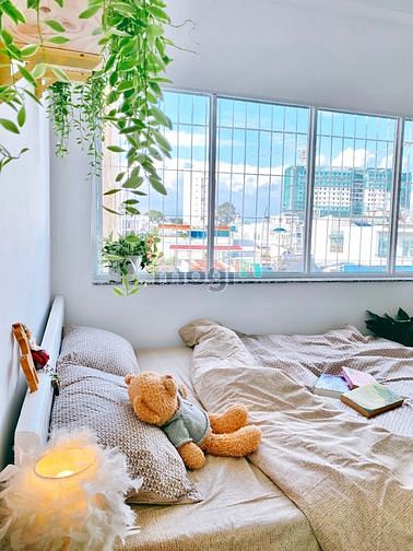 Hình ảnh Khai trương Trang Chủ MB66.COM / Đăng Ký Tặng 66K cho thuê Studio mới 100% gần chợ BÀ CHIỂU