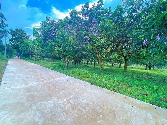 Hình ảnh Đất vườn + 100m thổ cư, ngang 28m, sát khu hành chính và KCN ĐỊnh Quán