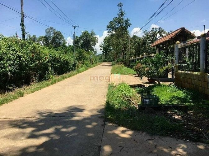 Hình ảnh Cần tiền bán gấp lô đất thổ cư 200m2,full thổ cư ở Phú Tân, Định Quán