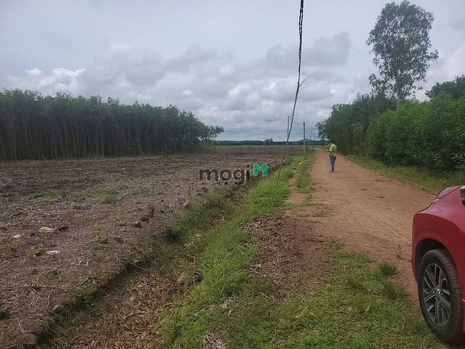 Hình ảnh Bán 6 sào đất ở quê, gần chợ Sùng Nhơn, giá 770tr