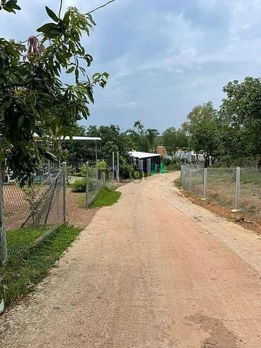 Hình ảnh bán lô đất lấy tiền cho em trai đi du học