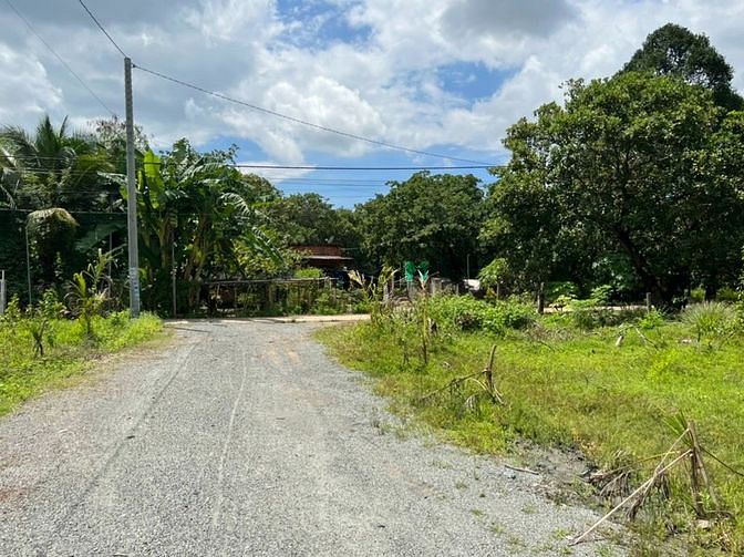 Hình ảnh Vườn cây nghĩ dưỡng-View lưng tựa núi Chứa Chan
