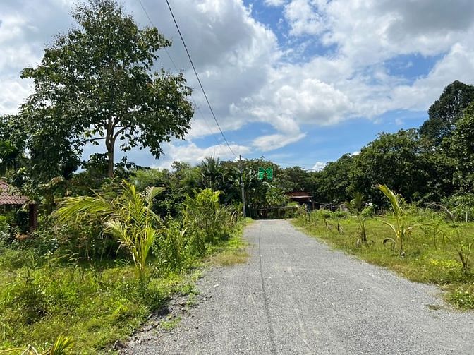 Hình ảnh Vườn cây nghĩ dưỡng-View lưng tựa núi Chứa Chan
