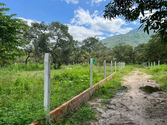 Hình ảnh Vườn cây nghĩ dưỡng-View lưng tựa núi Chứa Chan