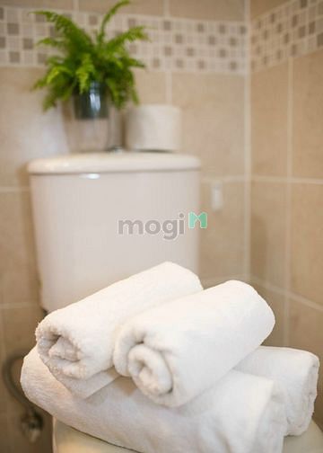 Hình ảnh Cho thuê Trang Chủ MB66.COM / Đăng Ký Tặng 66K dịch vụ Nguyễn Thái Bình Quận 1 gần Phó Đức Chính