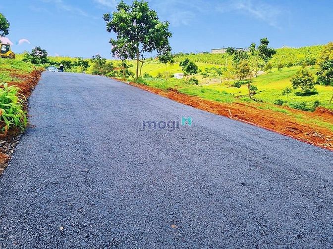 Hình ảnh Đất nền ngay đường Nguyễn Đình Chiểu, TP Bảo Lộc, 125m2, SHR, giá chỉ