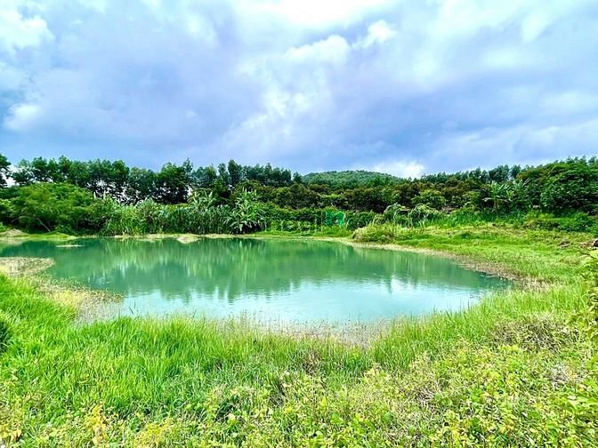 Hình ảnh Nhà em có việc cần bán gấp lô đất mua 3-4 năm trước