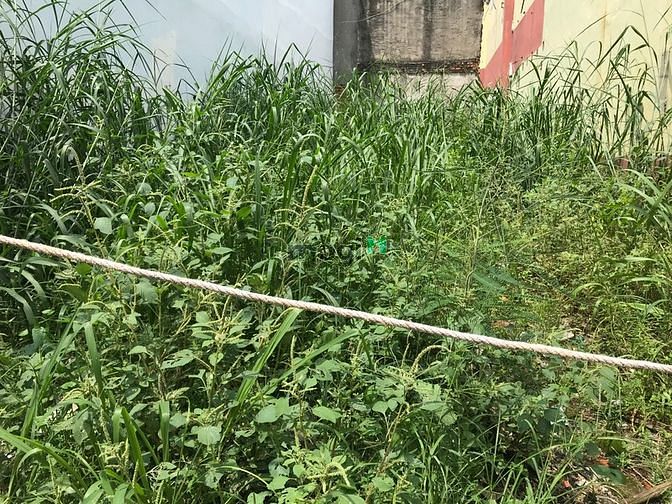 Hình ảnh Bán đất Quận 12 giá rẻ- 85m2. hẻm xe hơi thông.