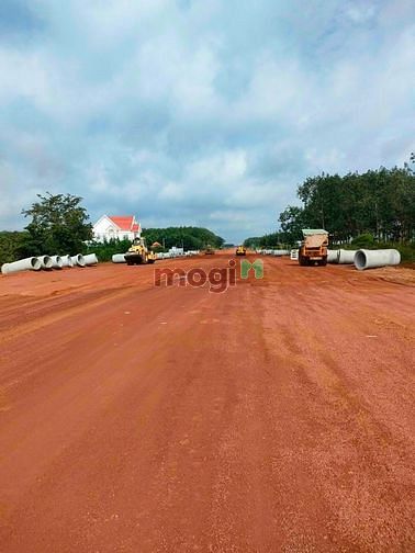Hình ảnh 1000m2 đất, 590 triệu,sổ sẵn,thổ cư, Đồng Phú - Bình Phước -20m ngang