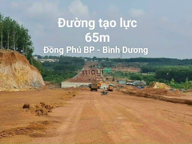 Hình ảnh 1000m2 đất, 590 triệu,sổ sẵn,thổ cư, Đồng Phú - Bình Phước -20m ngang