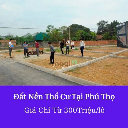Hình ảnh Đất nền thanh hoá chỉ từ 150triệu. 
đất nền phú thọ chỉ từ 300triệu.