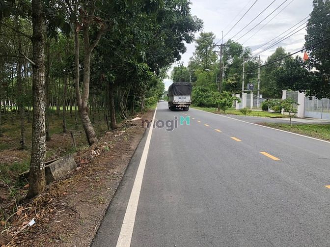 Hình ảnh Đất 2 mặt tiền phước vĩnh an củ chi 2025m2 chỉ 23 tỷ 5