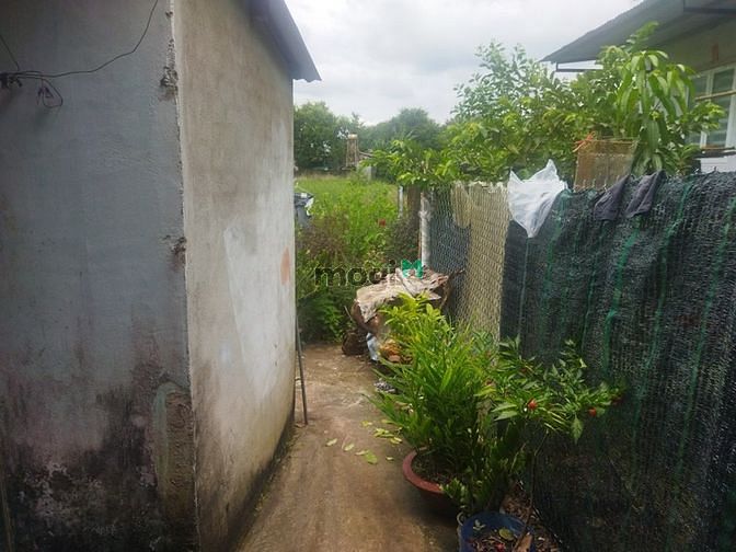 Hình ảnh Bán nhà cấp 4 ở Phú Lâm 100m2 full thổ cư, giá 800 triệu