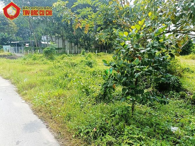 Hình ảnh Bán đất 2 mặt tiền đường Cây Gõ - 453m2 - 13x44 - 72m2 thổ cư - Củ Chi
