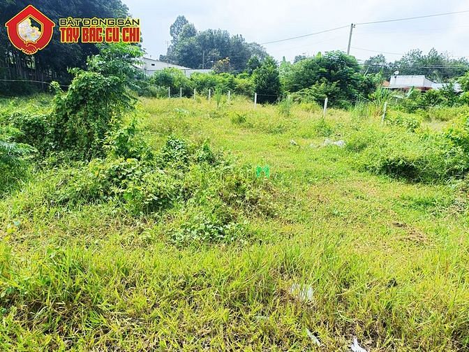 Hình ảnh Bán đất 2 mặt tiền đường Cây Gõ - 453m2 - 13x44 - 72m2 thổ cư - Củ Chi
