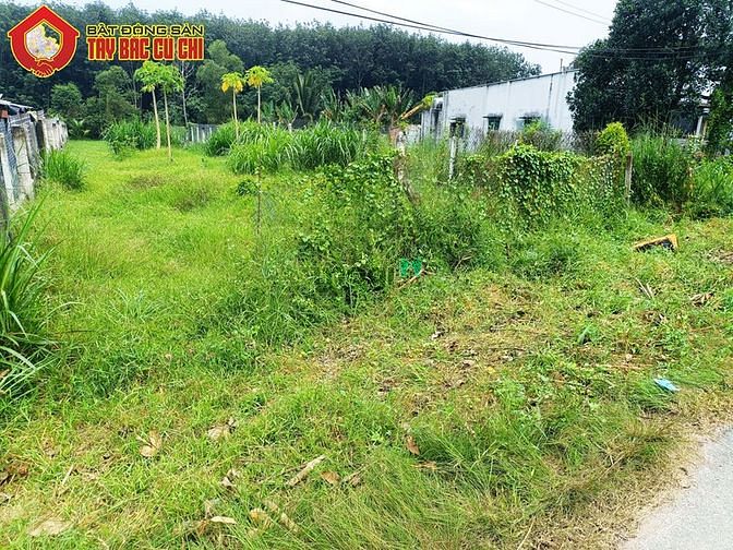 Hình ảnh Bán đất đường 762 - 829m2 - 14.7x70 - 40m2 thổ cư - xã An Nhơn Tây