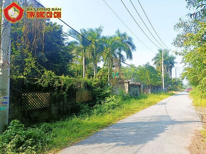Hình ảnh Bán đất đường 436 - 3247m2 - 50x63 - 1333m2 thổ cư - xã Phú Hòa Đông