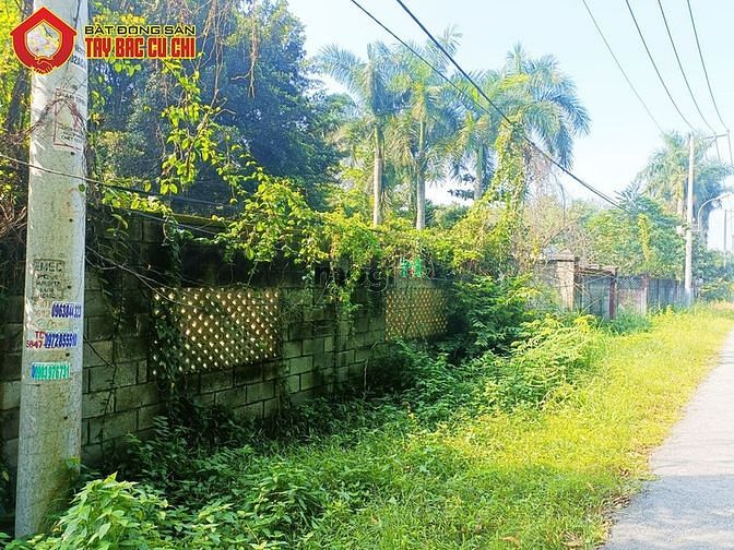 Hình ảnh Bán đất đường 436 - 3247m2 - 50x63 - 1333m2 thổ cư - xã Phú Hòa Đông