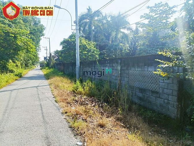 Hình ảnh Bán đất đường 436 - 3247m2 - 50x63 - 1333m2 thổ cư - xã Phú Hòa Đông