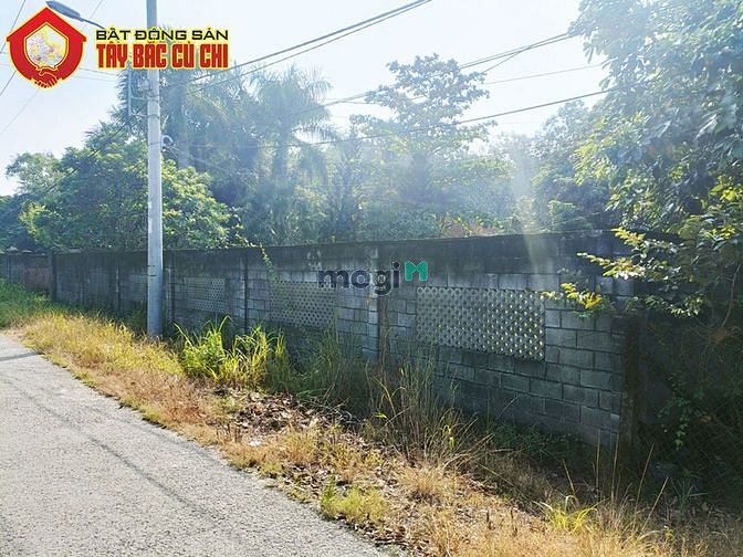 Hình ảnh Bán đất đường 436 - 3247m2 - 50x63 - 1333m2 thổ cư - xã Phú Hòa Đông