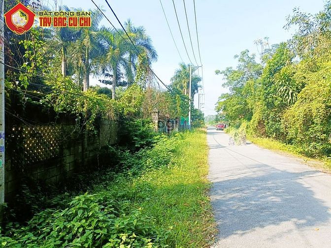 Hình ảnh Bán đất đường 436 - 3247m2 - 50x63 - 1333m2 thổ cư - xã Phú Hòa Đông