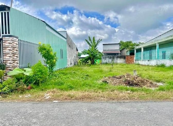 Hình ảnh Bán Đất Vườn Có Thổ Bình Chánh 250m2 giá 900tr SHR