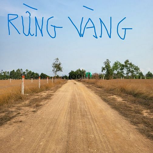 Hình ảnh 👉Sốc. Bán đất Rừng Vàng, LaGi, Bình Thuận siêu rẻ.
