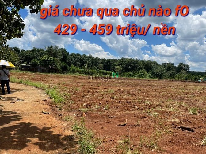 Hình ảnh 𝐂𝐡ỉ 𝟒𝟐𝟗 𝐓𝐫𝐢ệ𝐮 𝐒ở 𝐇ữ𝐮 𝐍𝐠𝐚𝐲 𝐓𝐡ổ 𝐂ư 𝐁Đ𝐒 𝐁ì𝐧h Phước