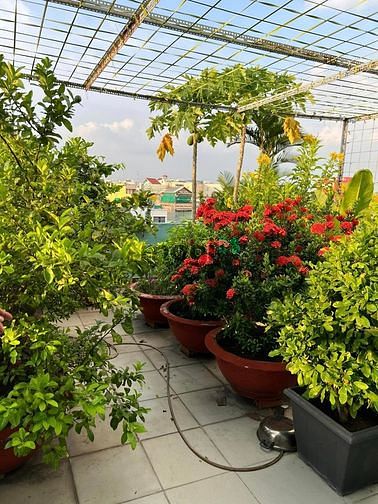 Hình ảnh Hẻm Xe Tăng 5 Tầng Diện Tích Khủng 100M2 Q12