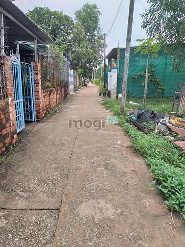 Hình ảnh Bán đất ở Lagi Bình Thuận giá rẻ bất ngờ