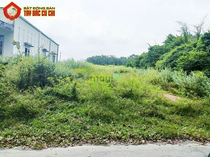 Hình ảnh Bán đất đường Tăng Thị Hội - 206m2 - 5x46 - 206m2 thổ cư - Củ Chi