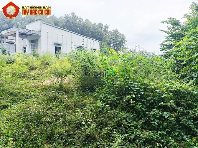 Hình ảnh Bán đất đường Tăng Thị Hội - 206m2 - 5x46 - 206m2 thổ cư - Củ Chi