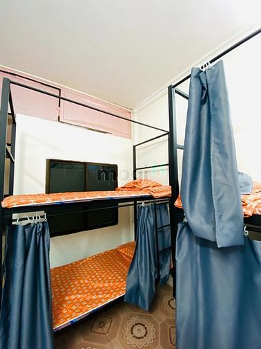 Hình ảnh Cho thuê homestay Phạm Tuấn Tài