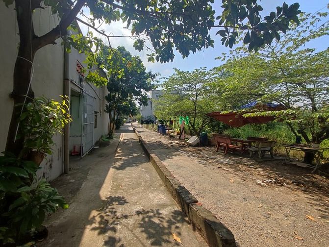 Hình ảnh Bán 4170m2 đất trồng cây lâu năm hẻm 24 võ văn hát - Quận 9