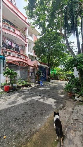 Hình ảnh Bán nhà hẻm8m- hồng hà,q.tân bình,18,5 tỷ