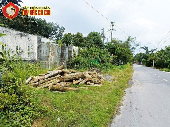 Hình ảnh Bán đất đường Bến Đình - 1151m2 - 20x51 - 1055m2 thổ cư - Củ Chi