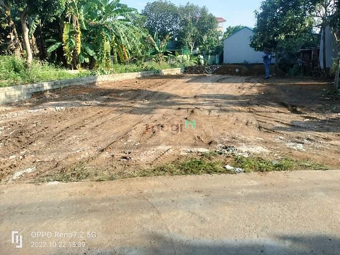 Hình ảnh Bán Nhanh Trong Tháng 320m full thổ Thôn 7 Tân Xã,CNC Hòa lạc 6,x tỷ