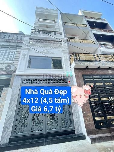 Hình ảnh 🌳🌳🌳Hoa Hồng 1% GỬI MG, 44/43 Trương Phước Phan, 4x12 đúc 4,5 tấm
