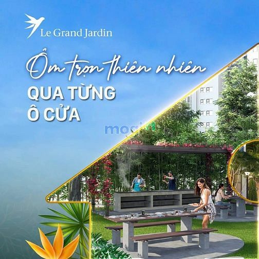 Hình ảnh Mở bán Trang Chủ MB66.COM Chính Thức Legrand Jadin giá siêu lợi nhuận .