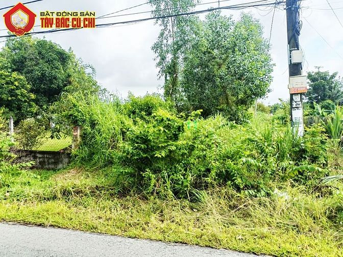 Hình ảnh Bán đất đường Lê Thị Kịa - 576m2 - 5x111 - 200m2 thổ cư - xã Thái Mỹ