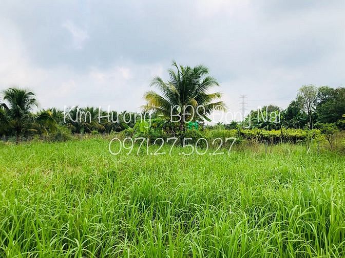 Hình ảnh Chỉ 620triệu Sở Hữu Ngay 541m2 Đất Sổ Sẵn
