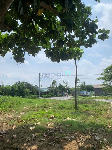Hình ảnh Đất đẹp giá rẻ Đồng Nai gần TP Biên Hòa
