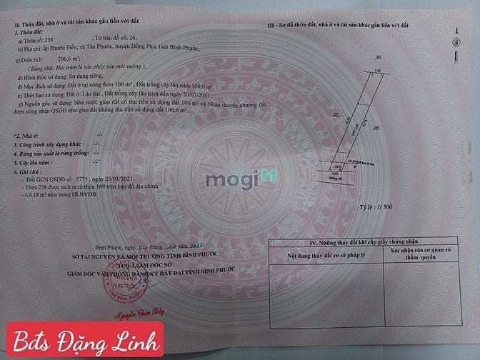 Hình ảnh Tân Phước, cần bán gấp lô 5x40x100tc đường 12 giá ngộp