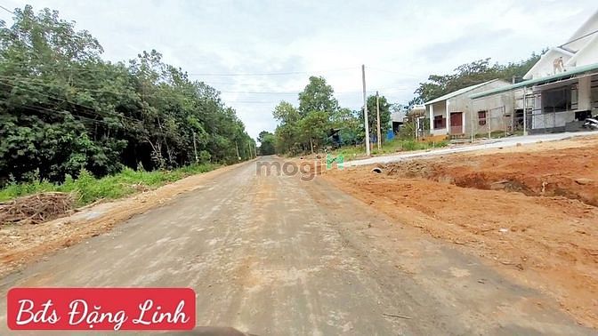 Hình ảnh Tân Phước, cần bán gấp lô 5x40x100tc đường 12 giá ngộp