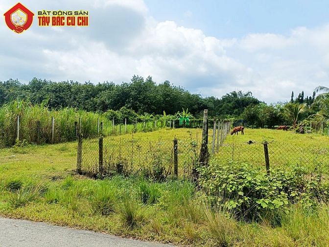 Hình ảnh Đất đường Lê Thị Do - 455m2 - 10x46 - 300m2 thổ cư - xã Thái Mỹ