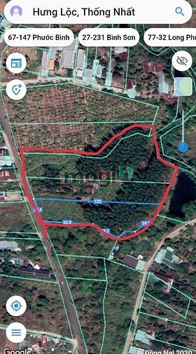 Hình ảnh Bán 1ha đất xã hưng lộc thống nhất đồng nai